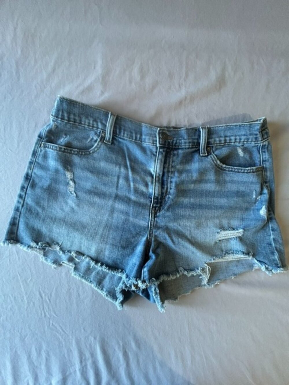 Aerie Distressed Denim Shorts — Size Large